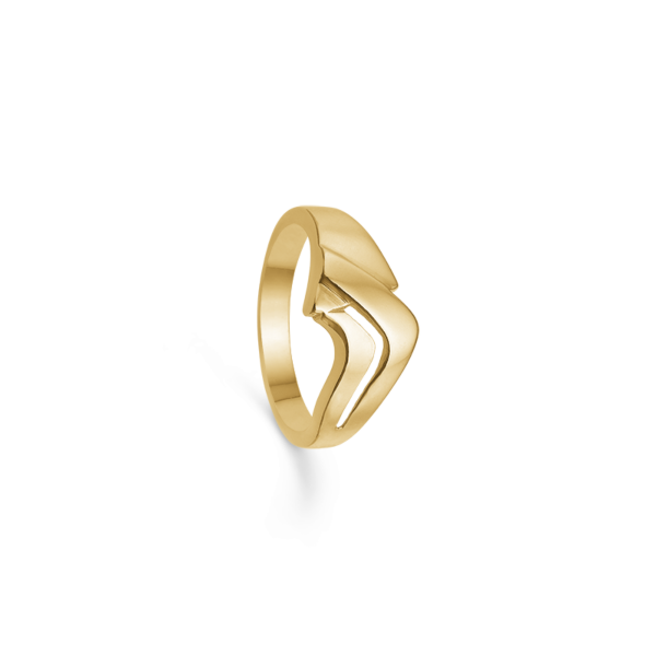 Anillo 