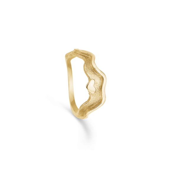 Anillo 