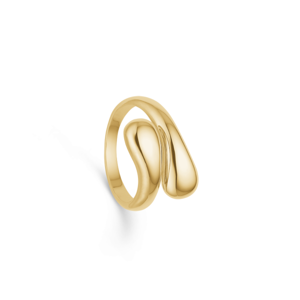 Anillo sólido 