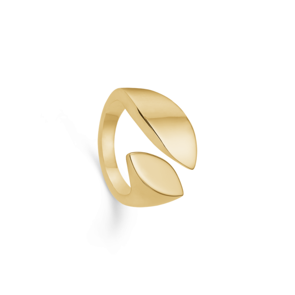 Anillo brillante 