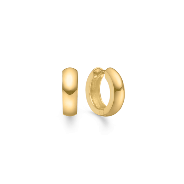 Pendientes elegantes 